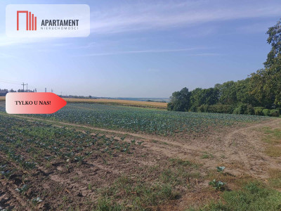 Tylko u Nas Działka w spokojnej okolicy - Gołoty  -
Kujawsko-Pomorskie Zdjęcie nr 3