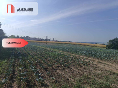 Tylko u Nas Działka w spokojnej okolicy - Gołoty  -
Kujawsko-Pomorskie Zdjęcie nr 5