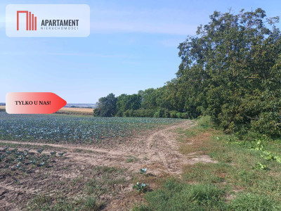 Tylko u Nas Działka w spokojnej okolicy - Gołoty  -
Kujawsko-Pomorskie Zdjęcie nr 7