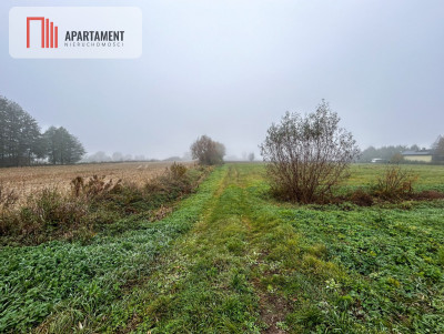 Działki w Dębowcu 1000m WZ media w pobliżu - Dębowiec  - Kujawsko-Pomorskie
