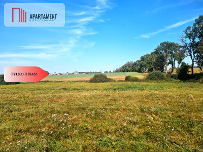 Tylko U Nas Działki w atrakcyjnej lokalizacji - powiat kościerski  -
Pomorskie Zdjęcie nr 6