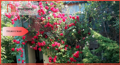 Tylko u nas  Działka ROD w Chełmży - Chełmża  - Kujawsko-Pomorskie