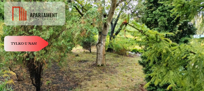 Tylko u nas  Działka ROD w Chełmży - Chełmża  -
Kujawsko-Pomorskie Zdjęcie nr 2