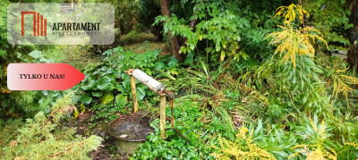 Tylko u nas  Działka ROD w Chełmży - Chełmża  -
Kujawsko-Pomorskie Zdjęcie nr 4