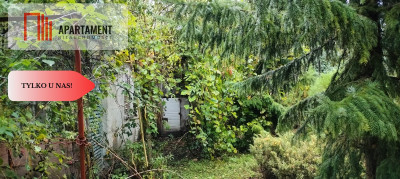 Tylko u nas  Działka ROD w Chełmży - Chełmża  -
Kujawsko-Pomorskie Zdjęcie nr 5