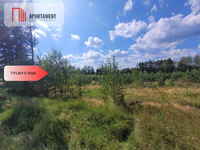 działka leśno rolna - Sominy  -
Pomorskie Zdjęcie nr 3