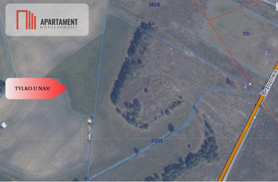 działka leśno rolna - Sominy  -
Pomorskie Zdjęcie nr 6