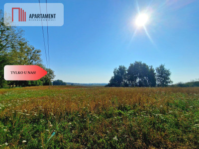 Tylko u Nas 110 ha w jednym kawałku Nowa cena - powiat drawski  -
Zachodniopomorskie Zdjęcie nr 4