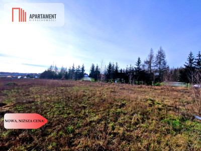 Wymarzone miejsce na dom z widokiem na las - Klawkowo  -
Pomorskie Zdjęcie nr 2