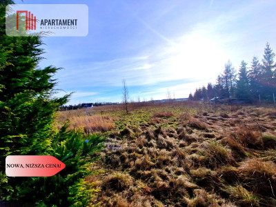 Wymarzone miejsce na dom z widokiem na las - Klawkowo  -
Pomorskie Zdjęcie nr 3