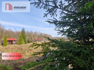 Wymarzone miejsce na dom z widokiem na las - Klawkowo  -
Pomorskie Zdjęcie nr 4