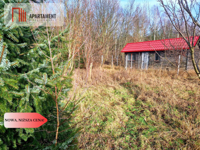 Wymarzone miejsce na dom z widokiem na las - Klawkowo  -
Pomorskie Zdjęcie nr 6