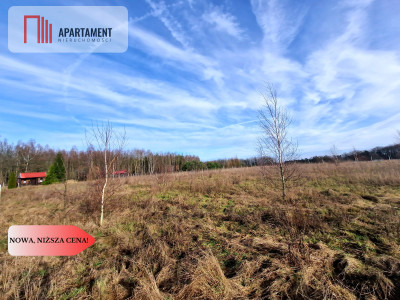 Wymarzone miejsce na dom z widokiem na las - Klawkowo  -
Pomorskie Zdjęcie nr 7