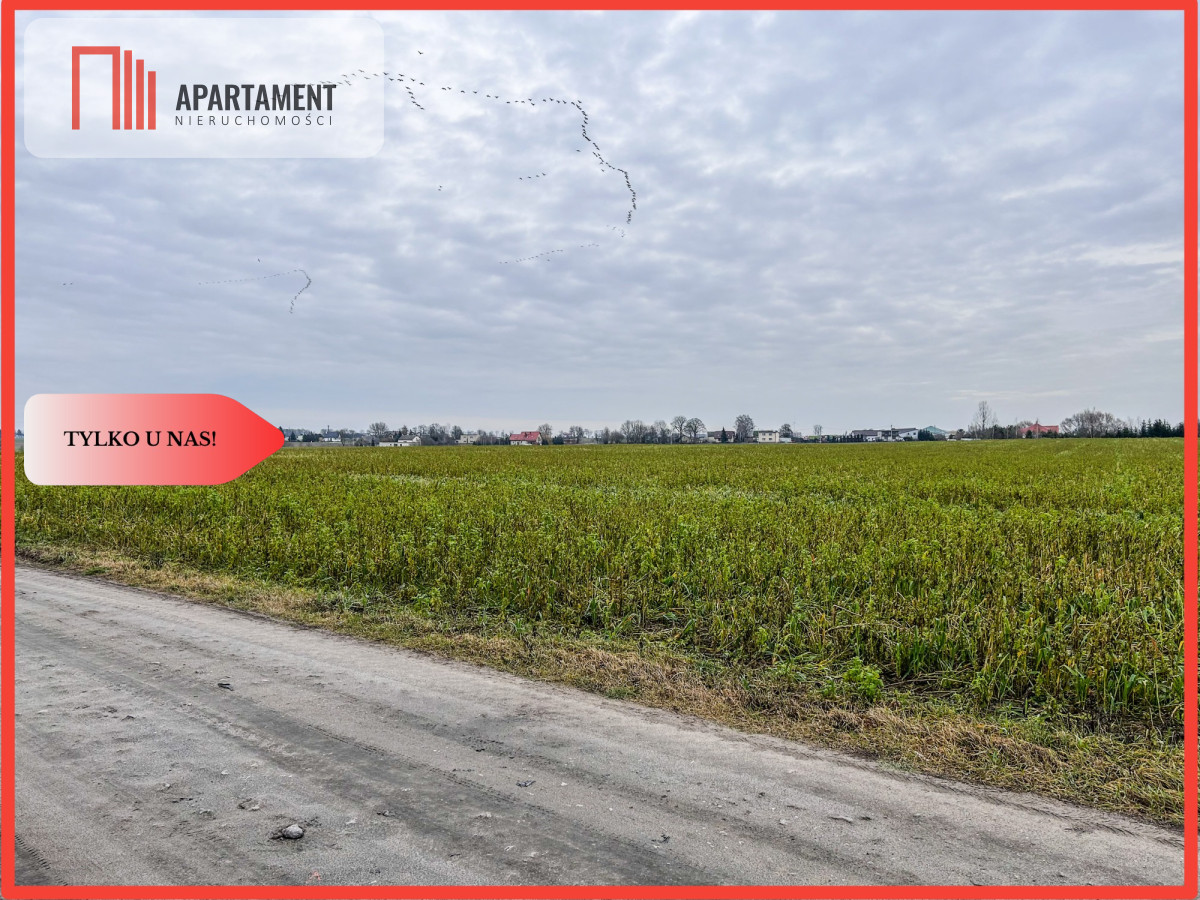 Tylko u nas Działka budowlana-055 ha-jezioro - Łubianka  -
Kujawsko-Pomorskie Zdjęcie nr 1