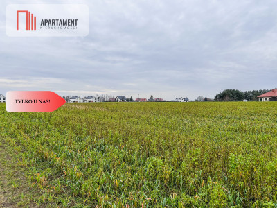 Tylko u nas Działka budowlana-055 ha-jezioro - Łubianka  -
Kujawsko-Pomorskie Zdjęcie nr 4