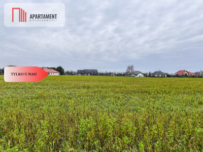 Tylko u nas Działka budowlana-055 ha-jezioro - Łubianka  -
Kujawsko-Pomorskie Zdjęcie nr 6