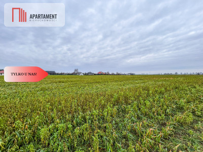 Tylko u nas Działka budowlana-055 ha-jezioro - Łubianka  -
Kujawsko-Pomorskie Zdjęcie nr 7