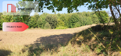 Działki z WZ- blisko jezioro - Trzemiętowo  -
Kujawsko-Pomorskie Zdjęcie nr 5