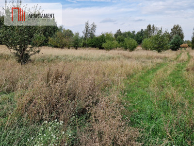 Działka budowlana z wydanymi WZ na 2 domy - Rogowo  -
Kujawsko-Pomorskie Zdjęcie nr 3