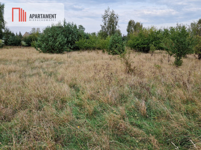 Działka budowlana z wydanymi WZ na 2 domy - Rogowo  -
Kujawsko-Pomorskie Zdjęcie nr 5