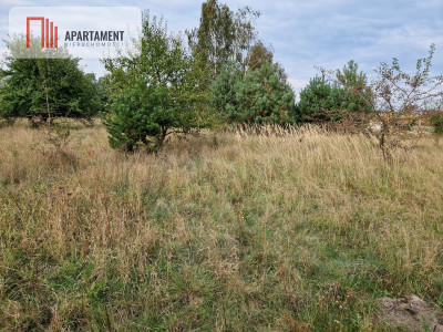 Działka budowlana z wydanymi WZ na 2 domy - Rogowo  -
Kujawsko-Pomorskie Zdjęcie nr 6