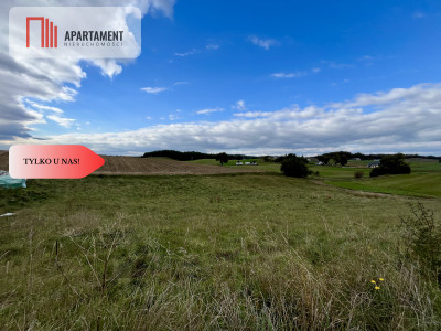 Działka 3000 m2 w sercu Kaszub - Półczno  -
Pomorskie Zdjęcie nr 5