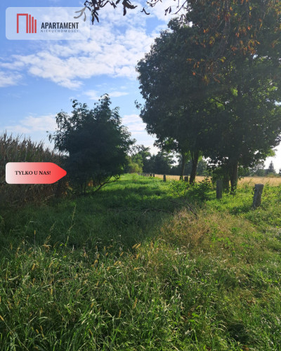 Duże działki budowlane w Stobnie - Stobno  -
Dolnośląskie Zdjęcie nr 3