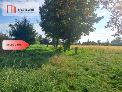 Duże działki budowlane w Stobnie - Stobno  -
Dolnośląskie Zdjęcie nr 4