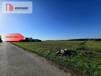 Działka z warunkami zabudowy Dąbrówka Słupska - Dąbrówka Słupska  -
Kujawsko-Pomorskie Zdjęcie nr 6