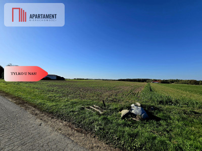 Działka z warunkami zabudowy Dąbrówka Słupska - Dąbrówka Słupska  -
Kujawsko-Pomorskie Zdjęcie nr 7