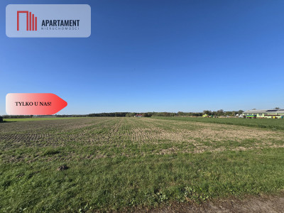 Działka z warunkami zabudowy Dąbrówka Słupska - Dąbrówka Słupska  -
Kujawsko-Pomorskie Zdjęcie nr 8
