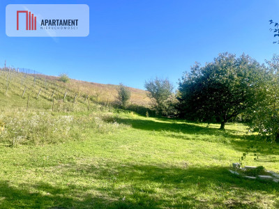 Ekskluzywna lokalizacja - Działka wśród wzgórz - Świątniki  -
Dolnośląskie Zdjęcie nr 2