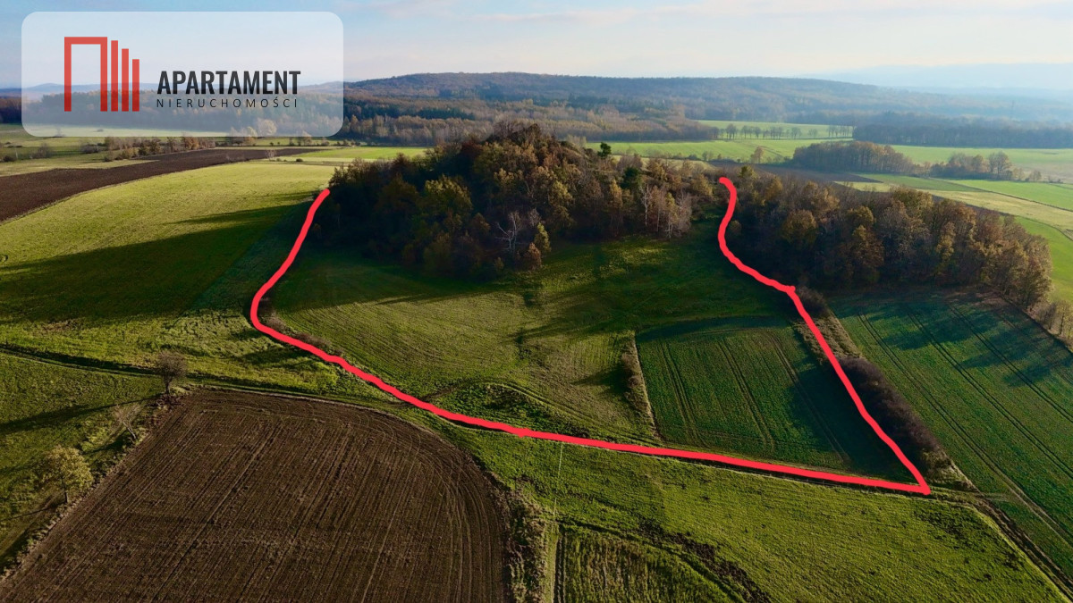 Działka rolna w cichej okolicy - powiat jaworski  -
Dolnośląskie Zdjęcie nr 1