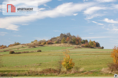 Działka rolna w cichej okolicy - powiat jaworski  -
Dolnośląskie Zdjęcie nr 11