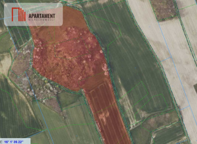 Działka rolna w cichej okolicy - powiat jaworski  -
Dolnośląskie Zdjęcie nr 14