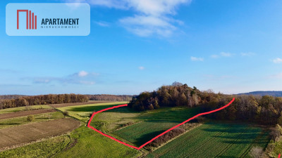 Działka rolna w cichej okolicy - powiat jaworski  -
Dolnośląskie Zdjęcie nr 2