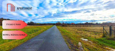 Zawonia ul Topolowa 3000 m2 W pobliżu lasu - Zawonia  -
Dolnośląskie Zdjęcie nr 7