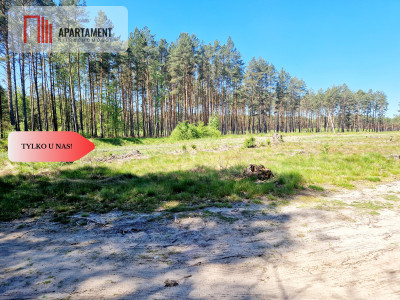 Działka budowlana otoczona lasem Tylko u nas  - Tleń  -
Kujawsko-Pomorskie Zdjęcie nr 4