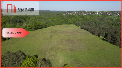 Tylko u nas miejsce na Twój dom cisza i spokój - Kolbudy  -
Pomorskie Zdjęcie nr 2