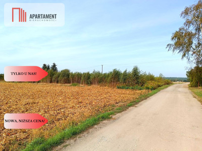 Super Cena  Toporzysko 3000m2 z MPZP - Toporzysko  -
Kujawsko-Pomorskie Zdjęcie nr 7