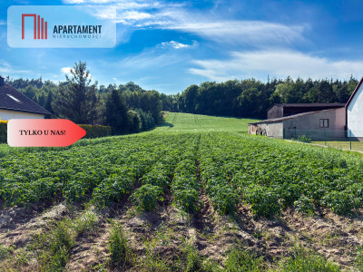 Tylko u nas Działka 113 ha Gruczno media WZ - Gruczno  -
Kujawsko-Pomorskie Zdjęcie nr 5