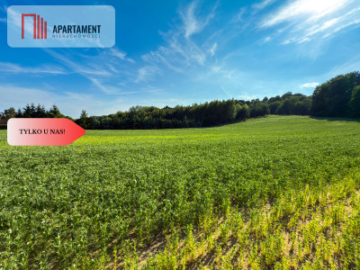 Tylko u nas Działka 113 ha Gruczno media WZ - Gruczno  -
Kujawsko-Pomorskie Zdjęcie nr 6