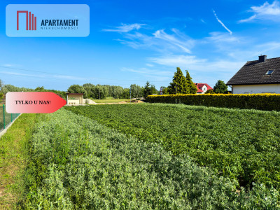 Tylko u nas Działka 113 ha Gruczno media WZ - Gruczno  -
Kujawsko-Pomorskie Zdjęcie nr 8