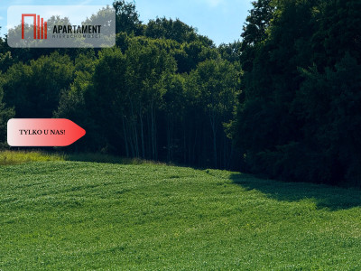 Tylko u nas Działka 113 ha Gruczno media WZ - Gruczno  -
Kujawsko-Pomorskie Zdjęcie nr 9