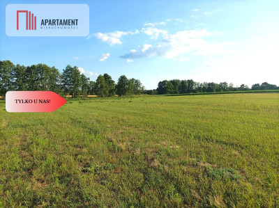 Mochle 1000m2 działka z WZ media - Mochle  -
Kujawsko-Pomorskie Zdjęcie nr 4