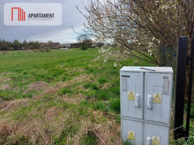 6 tyś m2 w Małych Rudach raj dla fanów przyrody - powiat nakielski  -
Kujawsko-Pomorskie Zdjęcie nr 4