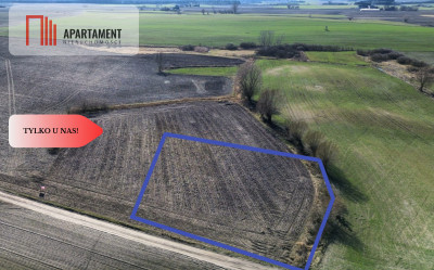 Tylko u nas Działka pod zabudowę Bory Tucholskie - powiat świecki  -
Kujawsko-Pomorskie Zdjęcie nr 3