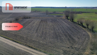 Tylko u nas Działka pod zabudowę Bory Tucholskie - powiat świecki  -
Kujawsko-Pomorskie Zdjęcie nr 7