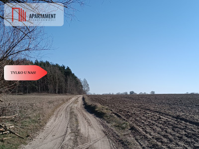 Tylko u nas Działka pod zabudowę Bory Tucholskie - powiat świecki  -
Kujawsko-Pomorskie Zdjęcie nr 8