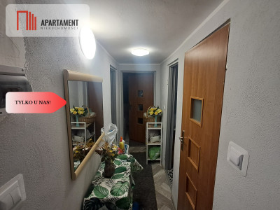 Piękna działka ROD w Żurczynie - Żurczyn  -
Kujawsko-Pomorskie Zdjęcie nr 8